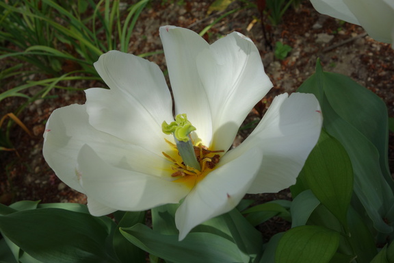 20130501 122719